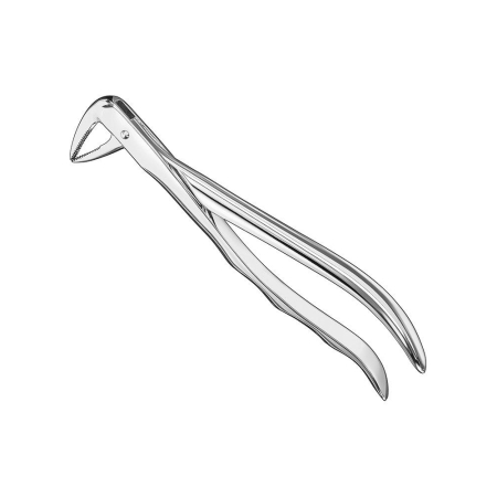 Extracting forceps, anat.
